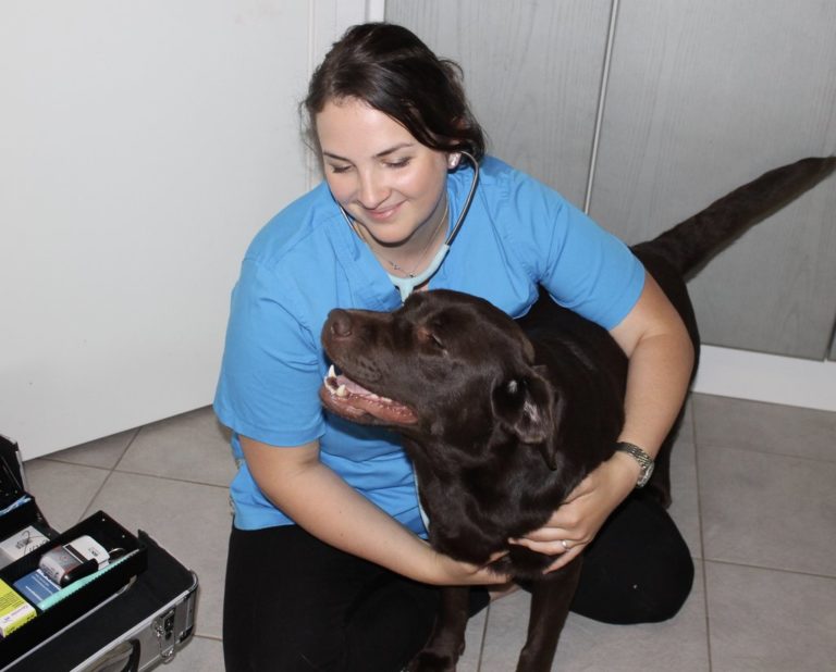 Eläinlääkäri kotikäynti Espoo, Helsinki, Siuntio, Kirkkonummi